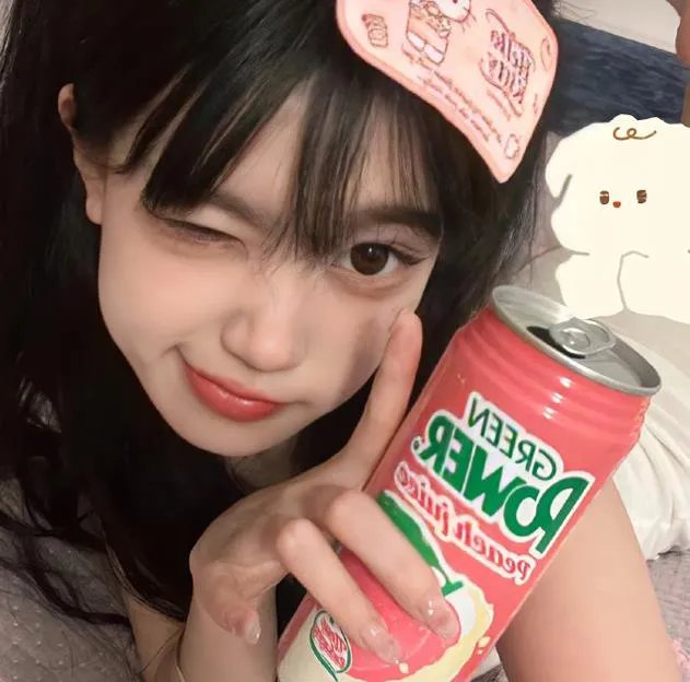 莫丽的朝圣